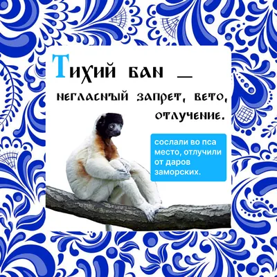 Импортозамещающий словарь от Bafsy