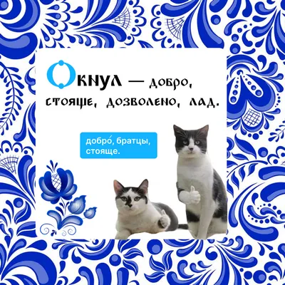 Импортозамещающий словарь от Bafsy