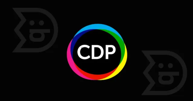 Что такое CDP и зачем она нужна бизнесу?